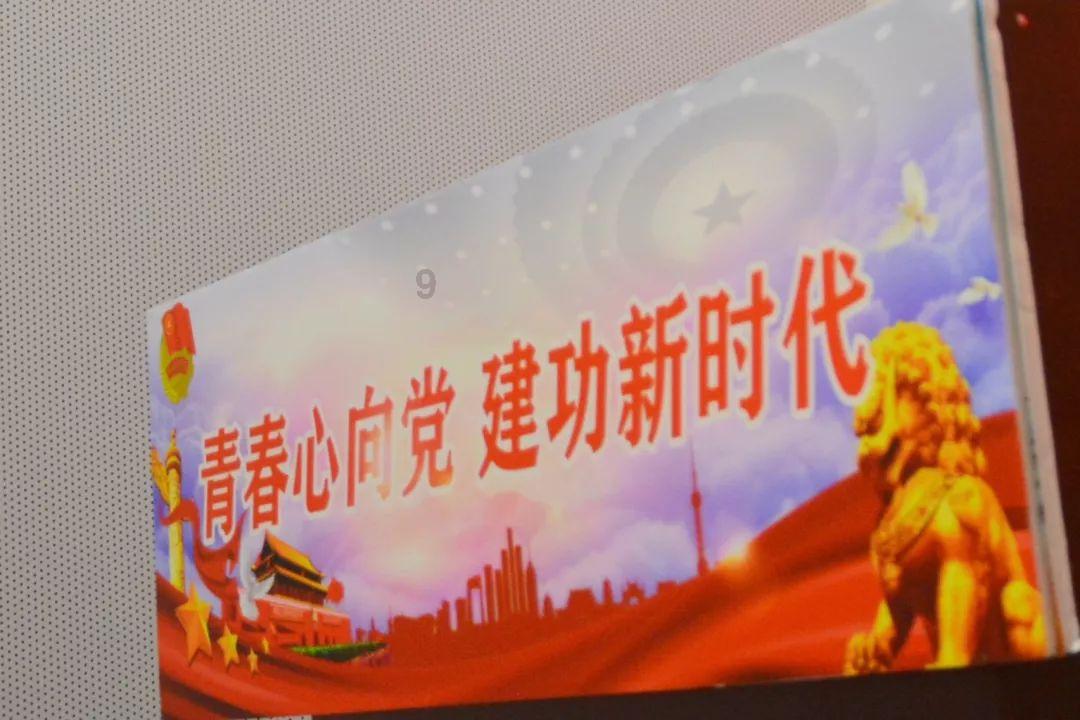 沈阳八一早市买鱿鱼被骗事件调查
